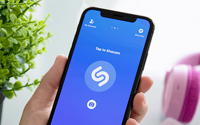 Understanding Audio Fingerprinting in the Music World